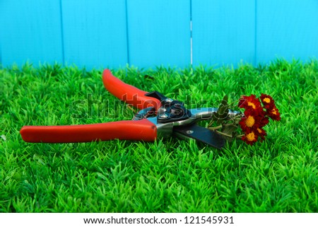 Secateurs with flower on grass on fence background