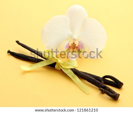 Vanilla pods with flower, on yellow background