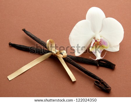 Vanilla pods with flower, on brown background