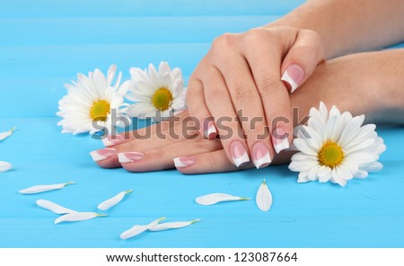 Woman hands with french manicure and flowers on blue wooden background