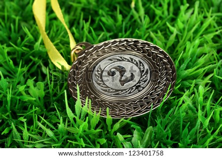 Silver medal on grass background