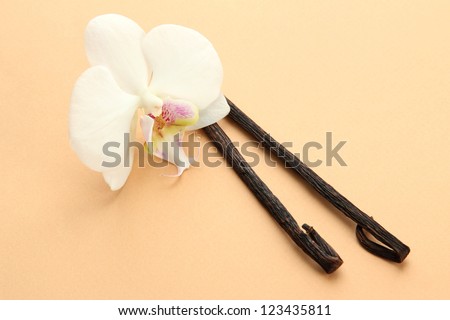 Vanilla pods with flower, on beige background