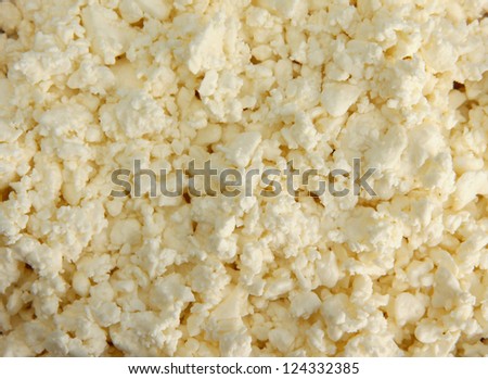cottage cheese, close up