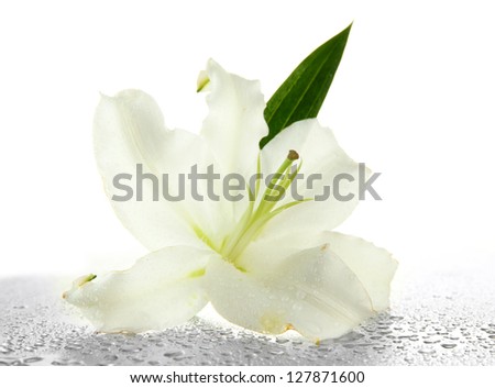 Beautiful lily, isolated on white