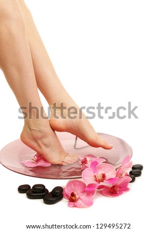 Female feet in spa bowl with water isolated on white Female feet in spa bowl with water isolated on white