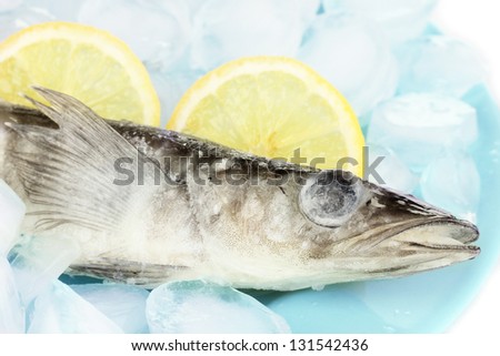 Frozen fish in plate with ice isolated on white