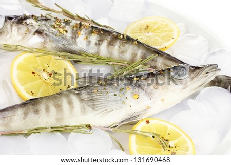 Frozen fishes in plate with ice isolated on white