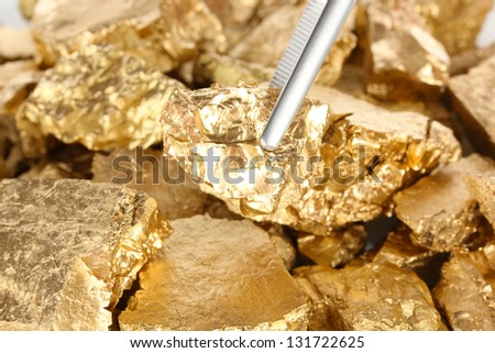 Tweezers holding golden nugget close-up