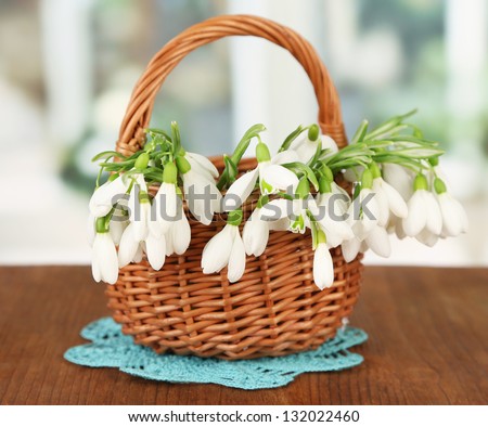Spring snowdrop flowers in wicker basket,on wooden table, on bright background