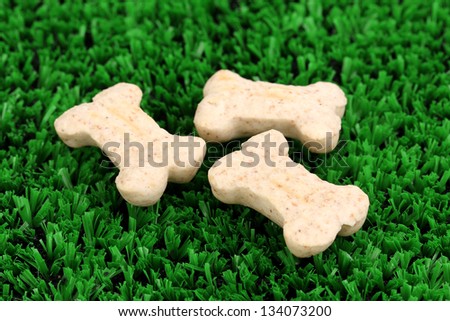 Dry bone-shaped food for dogs on green grass
