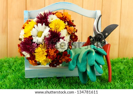 Secateurs with flowers in box on fence background