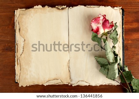 Open old book and rose on wooden background