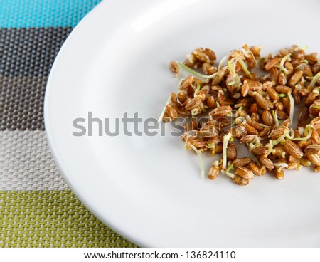 Wheat germs on plate, close up