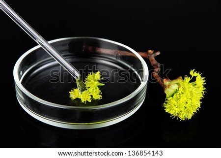 Chemical research in Petri dish on black background