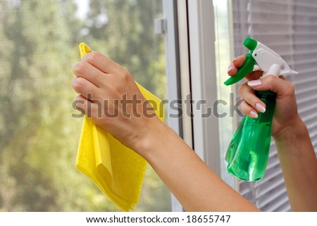 Hands spray clean the window