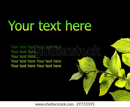 green leaves  with samples text