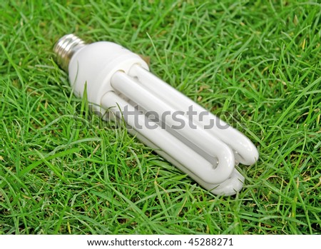 Energy saving light bulb on green grass