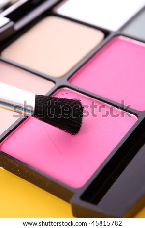 Big eye shadow kit with rouge and brush