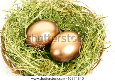 Two golden hen\'s eggs in the grassy nest isolated on white