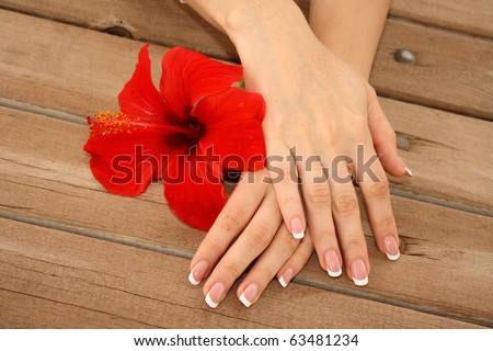 Woman hands with french manicure holding red flower