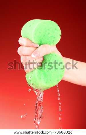 Sponge with water in hand on red background