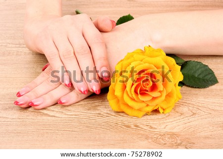 Woman hands with red french manicure  and yellow  flower