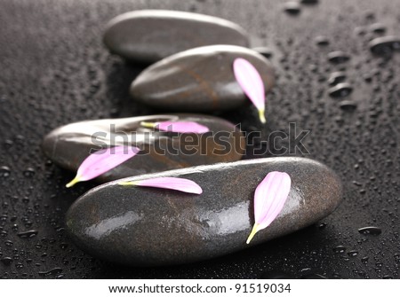 spa stones with water drops and pink petals on black background