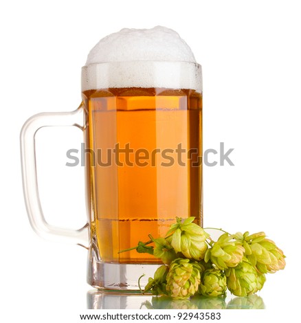 beer mug and green hop isolated on white