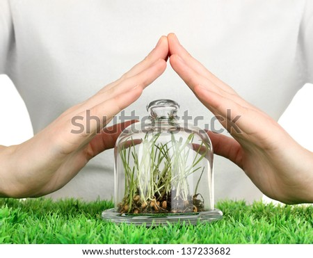 Hands protect grass under glass cover