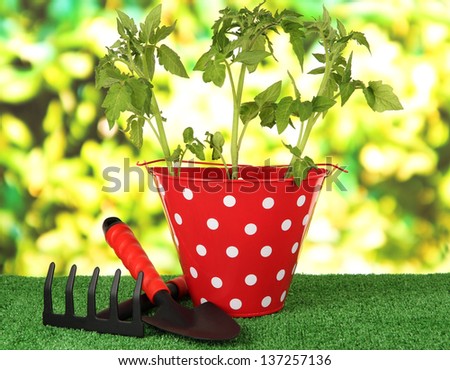 Young plant in bucket on grass on bright background