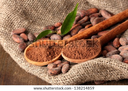 Cocoa powder in spoons and cocoa beans on wooden background