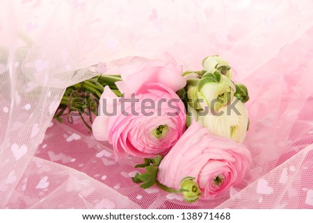 Ranunculus (persian buttercups), on pink cloth