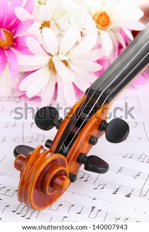 Classical violin  with flowers on notes