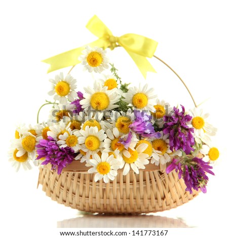 Beautiful wild flowers in basket, isolated on white