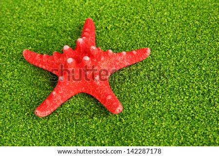 Red starfish on green crystals of sea salt background