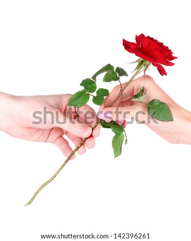 Man\'s hand giving a rose isolated on white