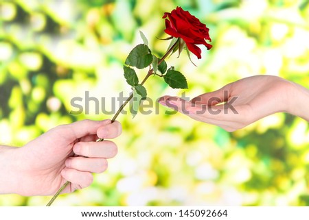 Man\'s hand giving a rose on bright background