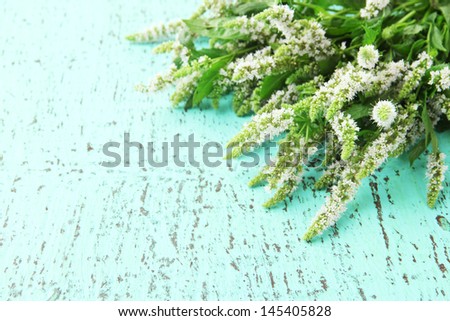 Fresh mint flowers on blue wooden background