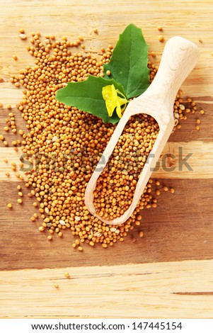 Mustard seeds with mustard flower on wooden background