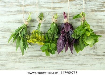 Fresh herbs on wooden background