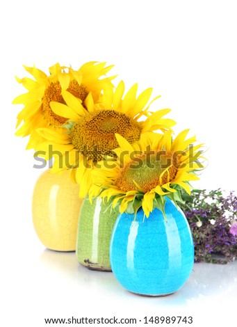 Beautiful sunflowers in color vases and wild flowers, isolated on white