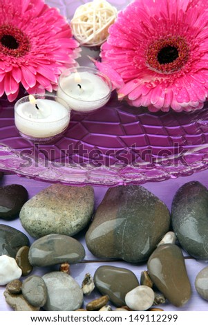 Beautiful gerbera flowers, stones and candles on water