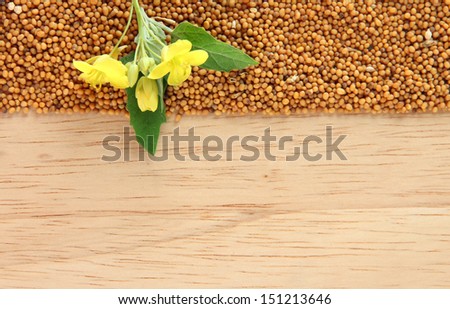 Mustard seeds and mustard flower on wooden background