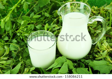 Pitcher and glass of milk on grass