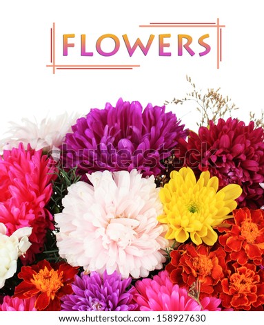 Beautiful bouquet of chrysanthemums on white background