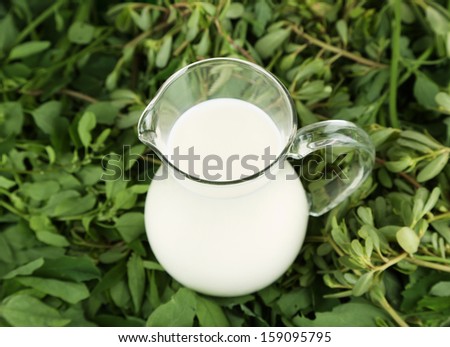 Pitcher of milk on grass