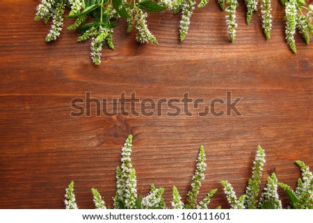Fresh mint flowers on wooden background