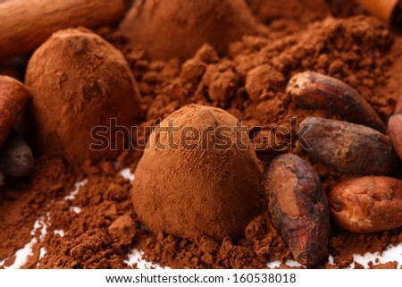 Chocolate truffles and cocoa, close up