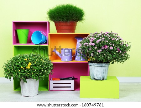 Flowers in pots with color boxes and instruments on wall background