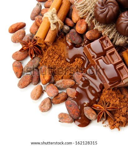 Composition of chocolate sweets, cocoa and spices, isolated on white